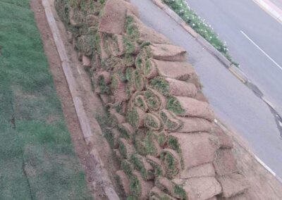 81ed6efa-92ad-4426-bcab-fb3299285011