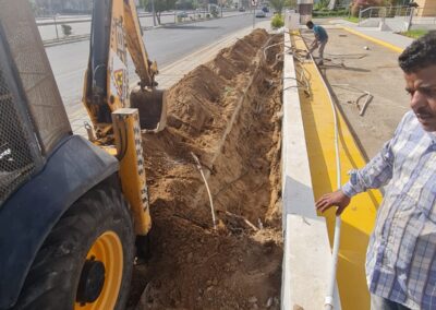 85d9264d-c2c7-4253-989d-4a646b3b4846