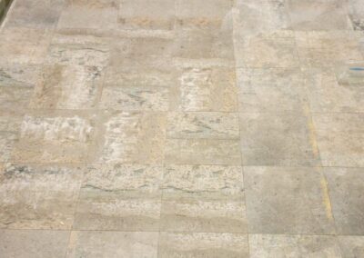 WhatsApp Image 2021-03-29 at 5.38.58 PM (1)