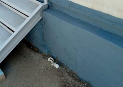 WhatsApp Image 2021-03-29 at 5.51.44 PM (1)