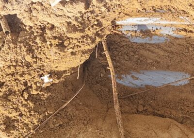 a3c1fb91-6ad4-437f-a4e0-4d998f1f2d22